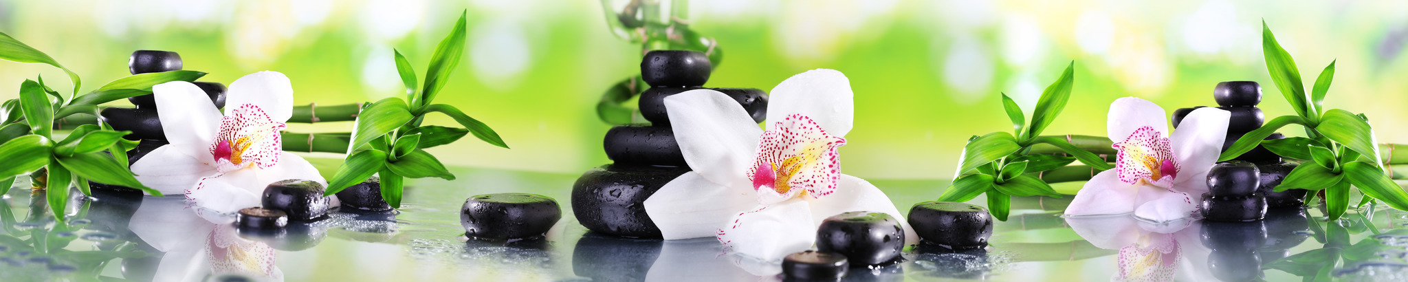 Стеновые панели из АБС-пластика, Кухонный фартук Орхидеяна камнях 2000x600x1.5 мм глянец