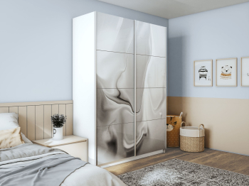 Шкаф-купе Прайм 2-х дверный Фотопечать Шелк Стекла/Доводчики 120х57х230