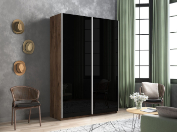 Шкаф-купе Прайм 2-х дверный Стекла черные/Доводчики 140х57х230