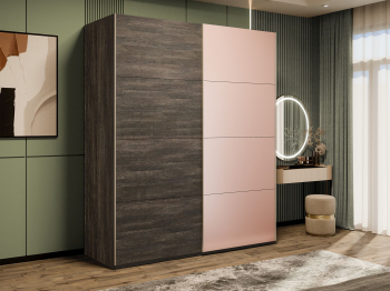 Шкаф-купе Эста 2-х дверный ДСП/Стекла пудра/Доводчик 160х66х240