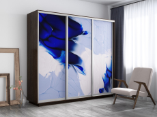 Шкафы-купе, Шкаф-купе Экспресс 1010, 180х60х220