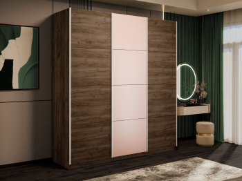 Шкаф-купе Эста 3-х дверный ДСП/Стекла пудра/Доводчик 300х66х240