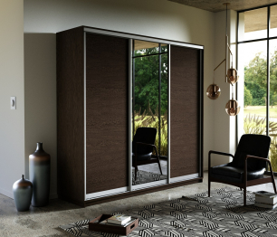 Шкаф-купе Экспресс Медиум (1 зеркало) трио 2400 x 1800 x 600