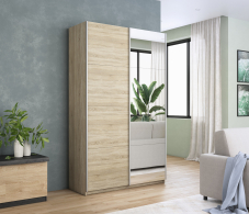 Шкафы-купе 2-х дверные, Шкаф Прайм дуо ДСП+зеркало 2300 х 1200 х 570