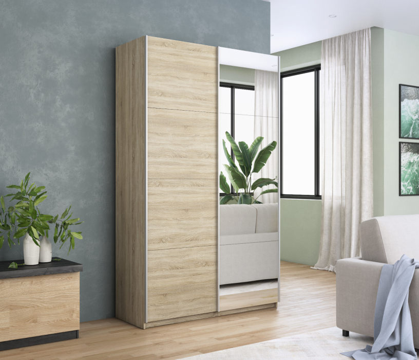 Шкафы-купе 2-х дверные, Шкаф Прайм дуо ДСП+зеркало 2300 х 1200 х 570