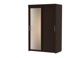 Шкафы-купе 2-х дверные, Шкаф-купе шк-18 2-х дверный с зеркалом