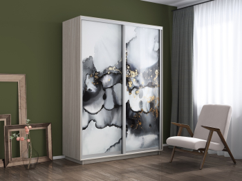 Шкаф-купе Экспресс 1001, 120х60х220