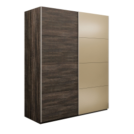 Шкаф-купе Эста 2-х дверный ДСП/Стекла фисташка/Доводчик 160х66х240