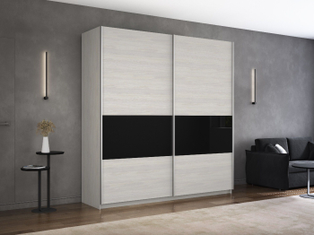 Шкаф-купе Прайм 2-х дверный ДСП/Стекло черное вставка 160х57х230