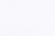 Фасады, Регина фасад 57х71 см