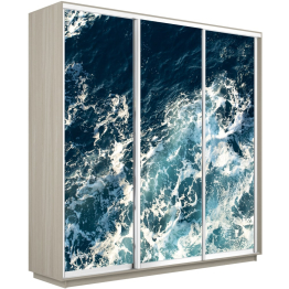 Шкаф-купе Экспресс 1015, 180х45х220