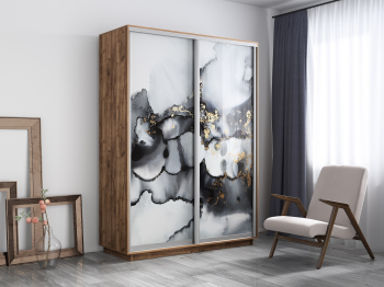 Шкаф-купе Экспресс 1001, 120х45х220