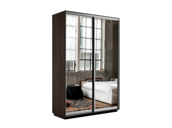 Шкаф-купе Экспресс Экспенс дуо 2200 x 1200 x 450