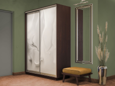 Шкафы-купе 2-х дверные, Шкаф-купе Экспресс 2-х дверный Фотопечать Шелк Стекла 120х60х240