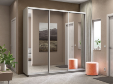 Шкафы-купе 3-х дверные, Шкаф-купе Экспресс Экспенс трио 2400 x 2400 x 450