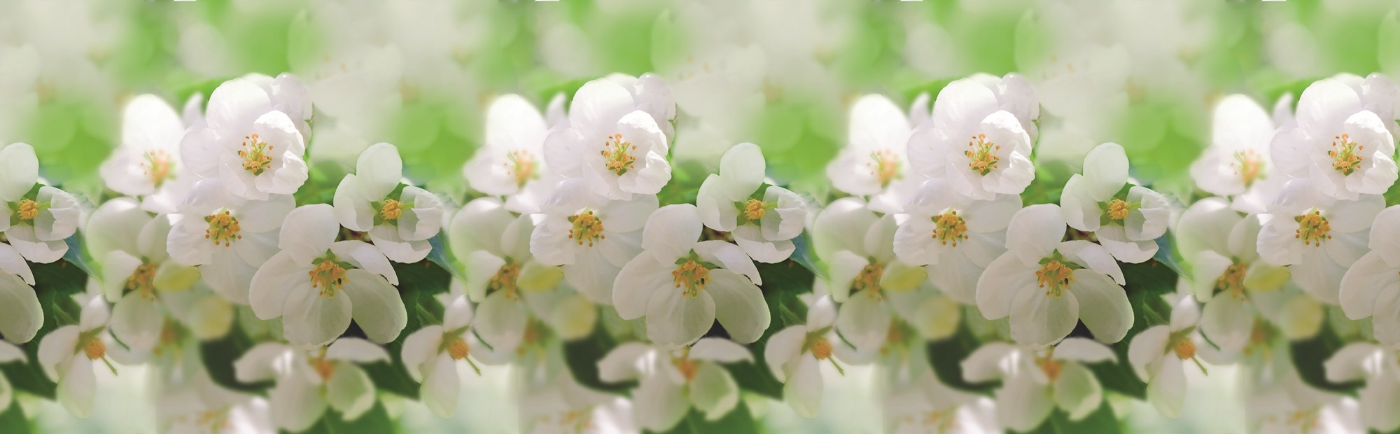 Стеновые панели из АБС-пластика, Кухонный фартук Соцветие 3000x600x1.5 мм глянец