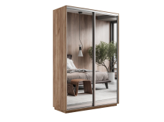 Шкафы-купе 2-х дверные, Шкаф-купе Экспресс Экспенс дуо 2200 x 1200 x 450