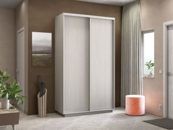 Шкаф-купе Экспресс Элемент дуо 2400 x 1400 x 600