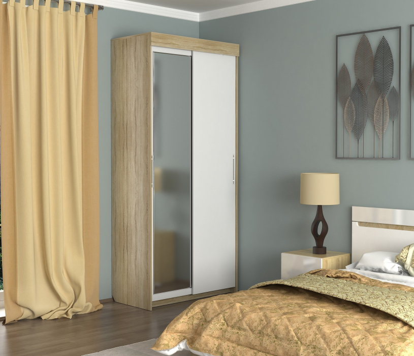 Шкафы-купе 2-х дверные, Шкаф-купе шк-19 двухдверный с зеркалом