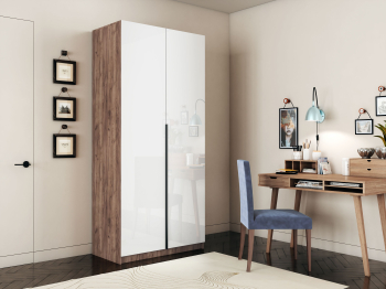 Шкаф распашной Е1 Локер 101x52.5x220 см, с белым стеклом и модулем