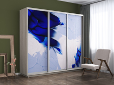 Шкафы-купе, Шкаф-купе Экспресс 1010, 180х60х240