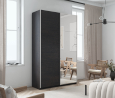 Шкафы-купе 2-х дверные, Шкаф Прайм дуо ДСП+зеркало 2300 х 1200 х 570