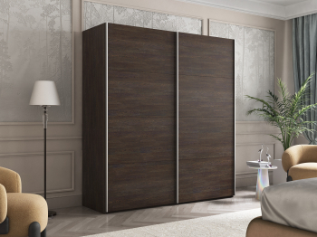 Шкаф-купе Эста ДСП+ДСП 200х66х240