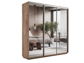 Шкаф-купе Экспресс Экспенс трио 2400 x 2400 x 450