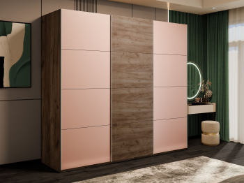 Шкаф-купе Эста 3-х дверный ДСП/Стекла пудра/Доводчик 300х66х240