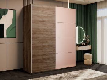 Шкаф-купе Эста 2-х дверный ДСП/Стекла пудра/Доводчик 200х66х240