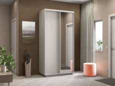 Шкафы-купе 2-х дверные, Шкаф-купе Экспресс Медиум дуо 2200 x 1200 x 450